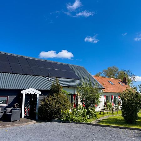 Het Zoete Peerd Bed & Breakfast Groede Exterior foto