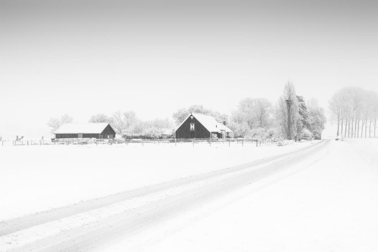 Het Zoete Peerd Bed & Breakfast Groede Exterior foto